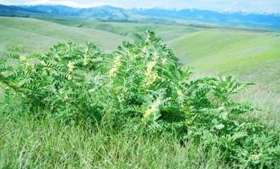 Îïèñàíèå: Îïèñàíèå: Îïèñàíèå: Îïèñàíèå: F:\Portal\Books\TIM\My Project\CD_Root\AutoPlay\Docs\munos\b1.files\image004.jpg